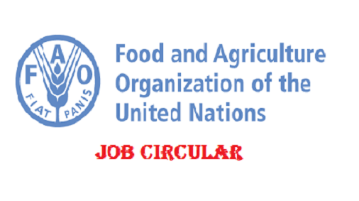 Food And Agriculture Organization of the United Nations Job Circular 2018